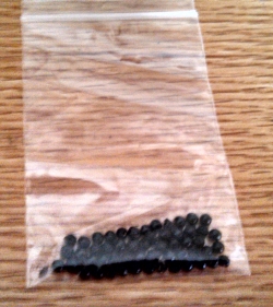 Wild Ramp Seeds